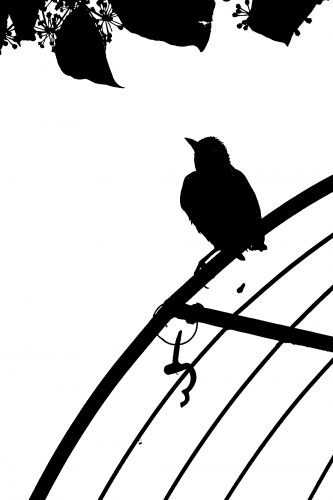 Wulbrand Jahnke Vogel2