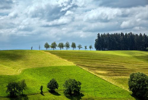 Wolfgang Speer St.Maergen