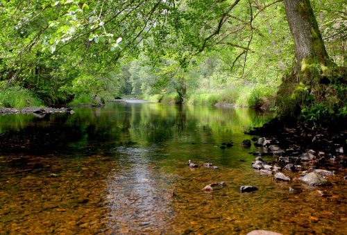 Wolfhang Speer Wutach