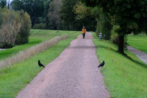 Susanne Rosenfelder Elz mit Kraehen 