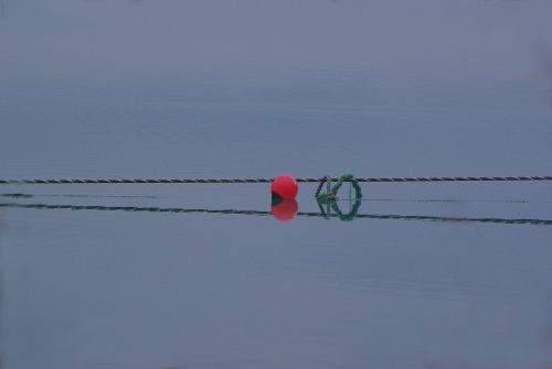 Torsten TrickTrennung