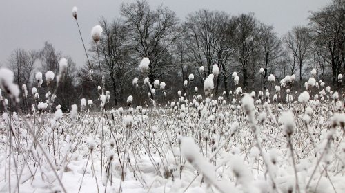 Horst Peter Huber Samenstand