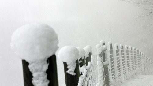 Horst Peter Huber Schneepfosten