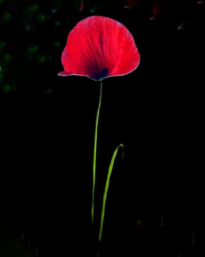 IMG 20230730 151534 117