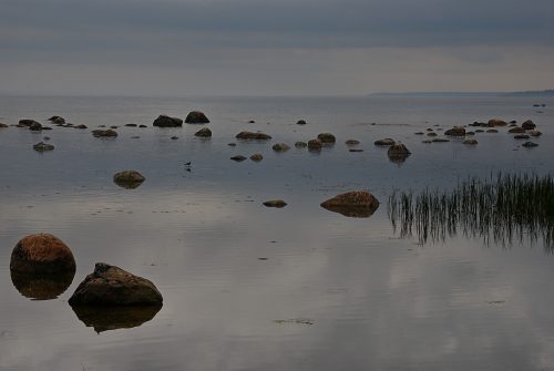 Heiner-Dietz